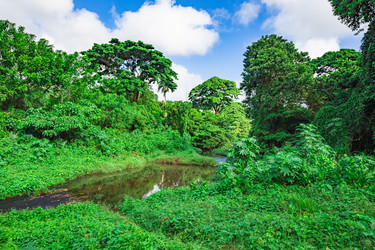 Similar image 20975625