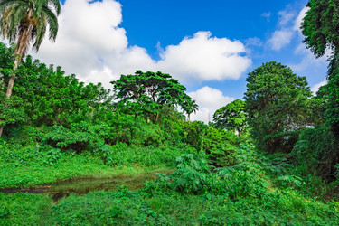 Similar image 20975626