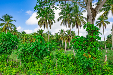 Similar image 20975627