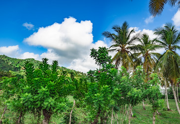 Similar image 20975628