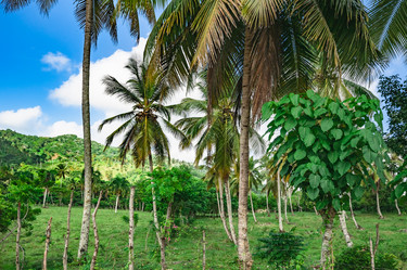 Similar image 20975629