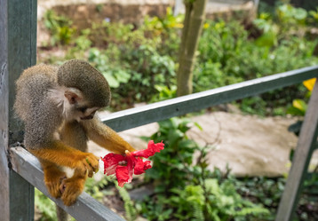 Similar image 20975631