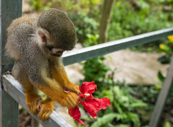 Similar image 20975632