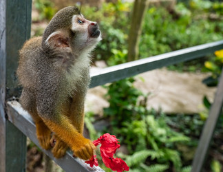 Similar image 20975633