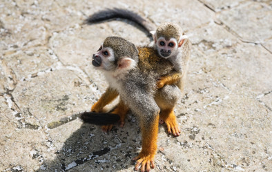 Similar image 20975634