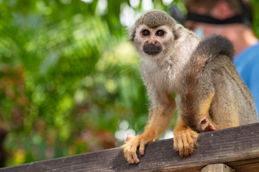 Similar image 20975635