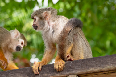 Similar image 20975636