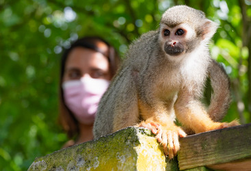 Similar image 20975637