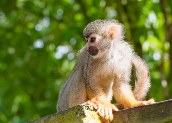 Similar image 20975638