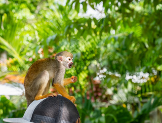 Similar image 20975639