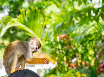 Similar image 20975911