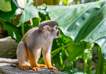 Similar image 20976093