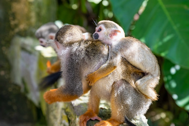 Similar image 20976094