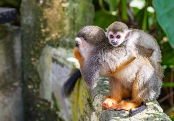 Similar image 20976723