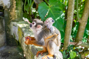 Similar image 20991290