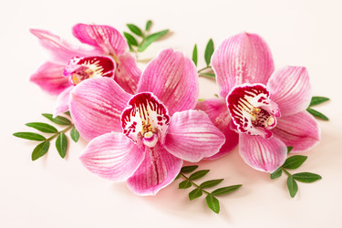 Similar image 20986473