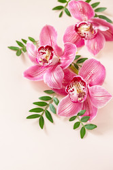 Similar image 20986474