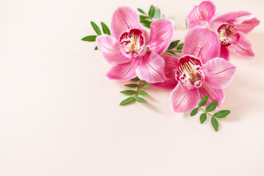 Similar image 20986475