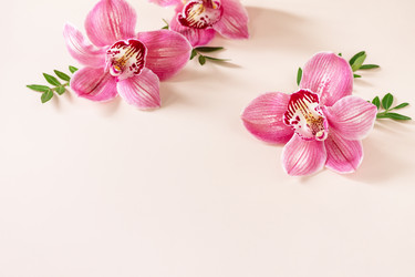 Similar image 20986476