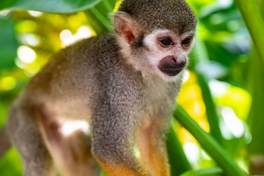 Similar image 21001352