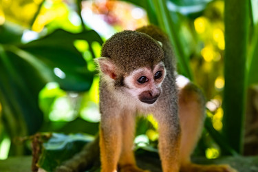 Similar image 21001354