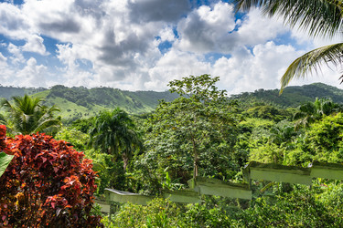 Similar image 21001356