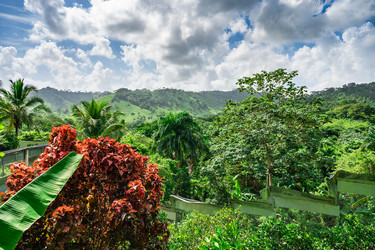 Similar image 21001438