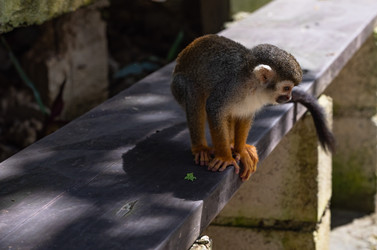 Similar image 21001788