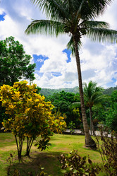 Similar image 21001819