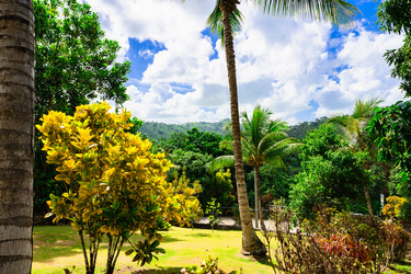 Similar image 21001820