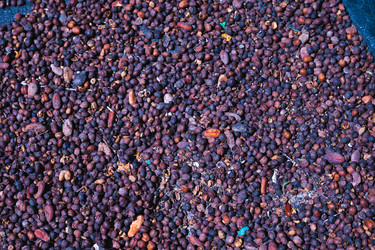 Similar image 21001822