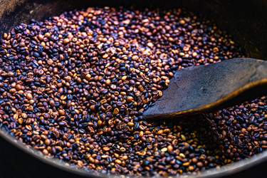 Similar image 21003644