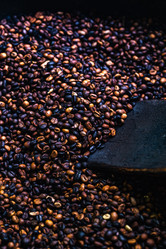 Similar image 21006449