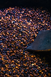 Similar image 21003645