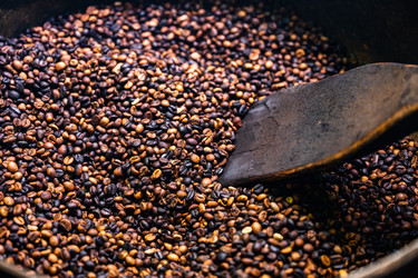 Similar image 21003646