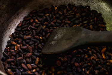 Similar image 21003686