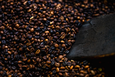 Similar image 21003687