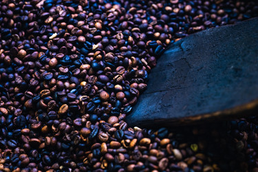 Similar image 20973094