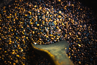 Similar image 20973137