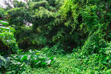 Similar image 20973141