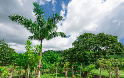 Similar image 20973142