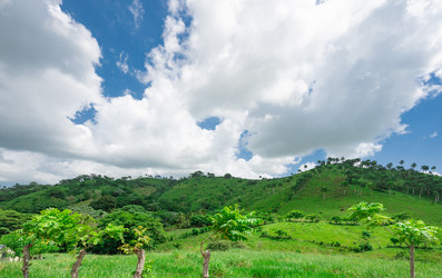 Similar image 20973221