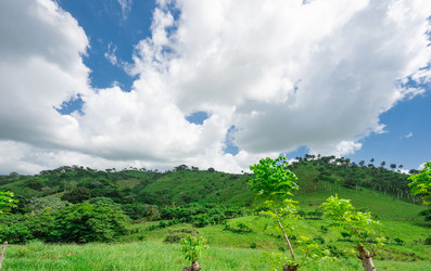 Similar image 20973222