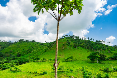 Similar image 20973223