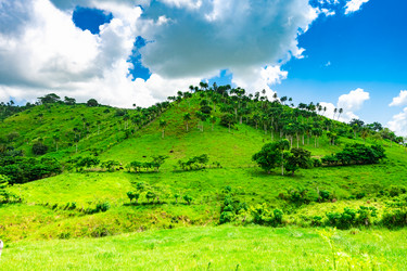 Similar image 20973225