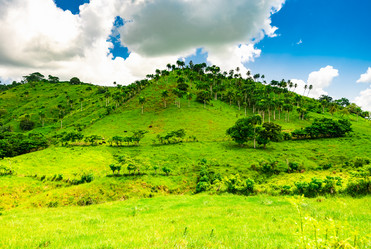 Similar image 20973226