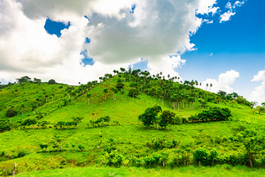 Similar image 20973228