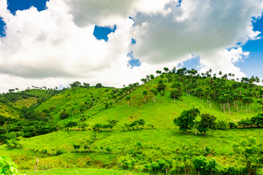 Similar image 20973229