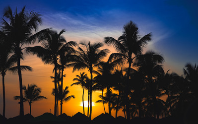 Similar image 20973238