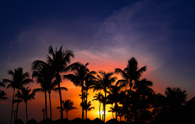 Similar image 20973239